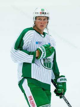 Rögles David Åslin