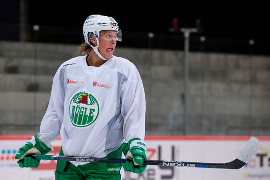 Rögles David Åslin