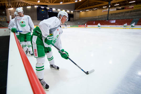 Rögles David Åslin