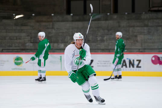 Rögles David Åslin