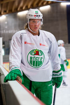 Rögles David Åslin