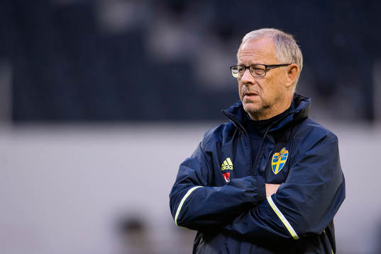 Lars Lagerbäck, rådgivare