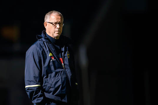 Lars Lagerbäck, rådgivare