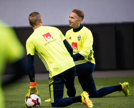 Sveriges målvakt Patrik Carlgren