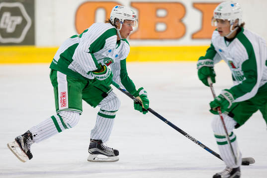 Rögles David Åslin