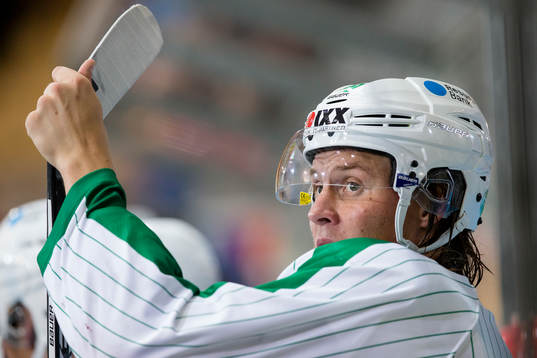 Rögles David Åslin