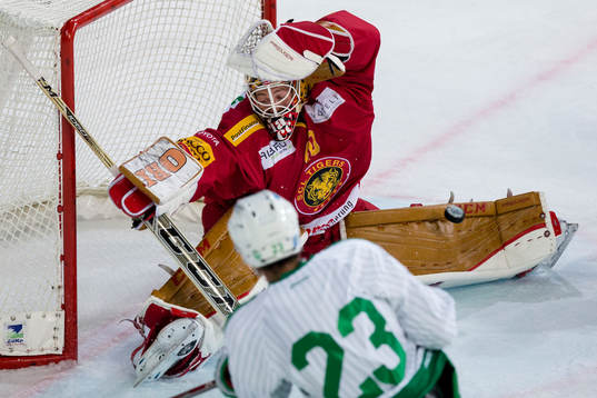 Bläddra bland fler bilder av Ishockey, Träningsmatch, SCL Tigers - Rögle