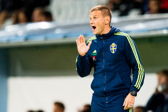 Sveriges assisterande förbundskapten Andreas Pettersson