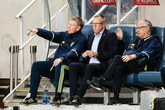 Sveriges assisterande förbundskapten Peter Wettergren,