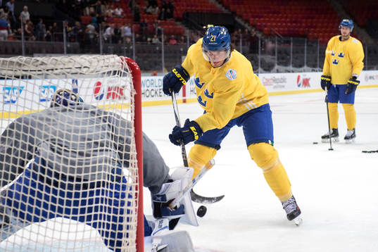Sveriges Loui Eriksson