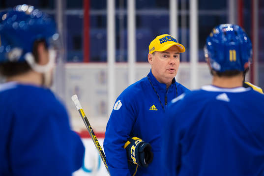 Förbundskapten Rikard Grönborg