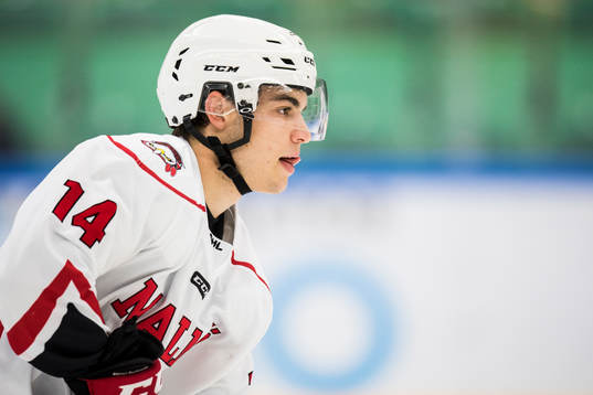 Malmö Redhawks Lukas Haudum