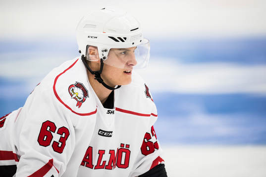 Malmö Redhawks Fredrik Händemark