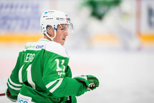 Rögles Bryan Lerg