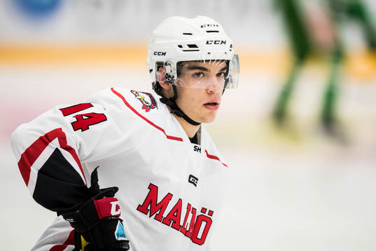 Malmö Redhawks Lukas Haudum