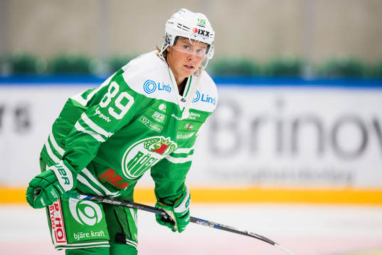Rögles David Åslin