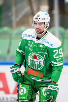 Rögles Ludvig Rensfeldt