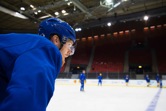 Gabriel Landeskog