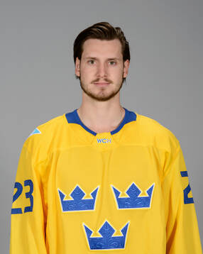 Oliver Ekman Larsson of Sweden poses for a portrait
