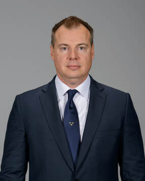 Head Coach Rikard Grönborg of Sweden poses for a portrait