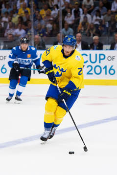 Sveriges Loui Eriksson