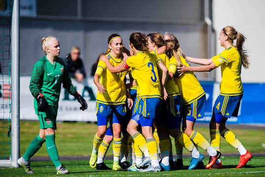 Sveriges spelare jublar