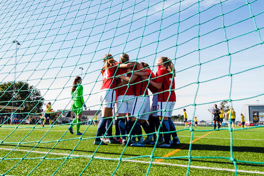 Norges spelare jublar