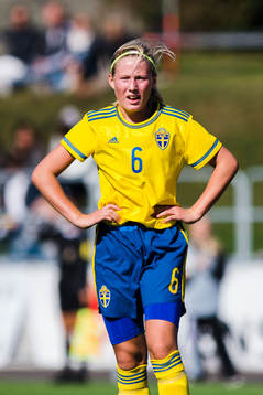 Sveriges Saga Jontoft