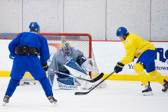 Henrik Lundqvist och Loui Eriksson