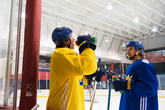 Loui Eriksson och Erik Karlsson