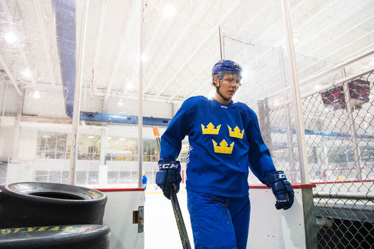 Hampus Lindholm