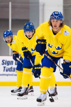 Marcus Krüger, Loui Eriksson och Carl Hagelin