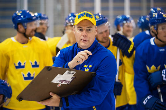 Förbundskapten Rikard Grönborg