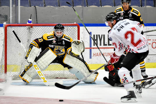 Bläddra bland fler bilder av  Ishockey, Hockeyallsvenskan, Pantern - Vita Hästen