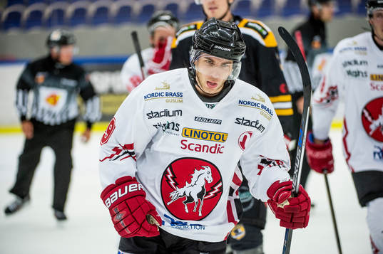 under ishockeymatchen i Hockeyallsvenskan mellan Pantern