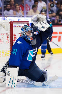 Europas målvakt Jaroslav Halak