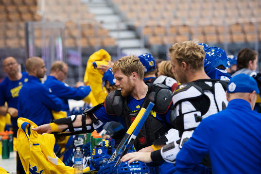 Gabriel Landeskog