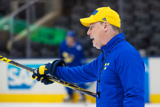 Förbundskapten Rikard Grönborg