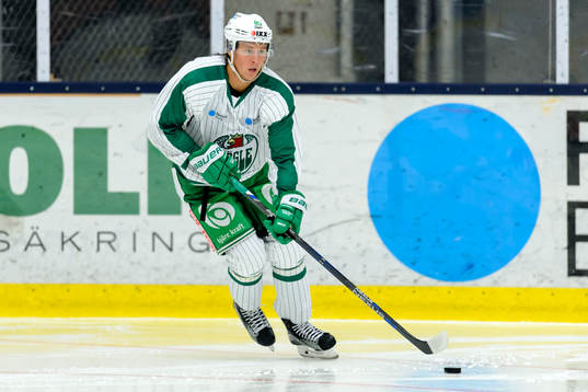 Rögles Davis Åslin