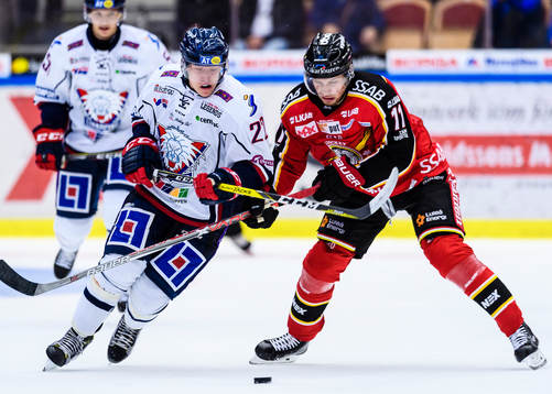 Linköpings Vilmos Gallo