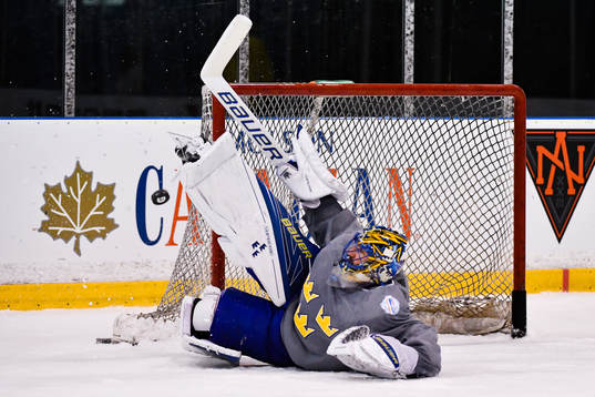 Sveriges målvakt Henrik Lundqvist