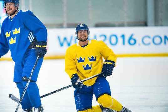 Sveriges Anton Strålman
