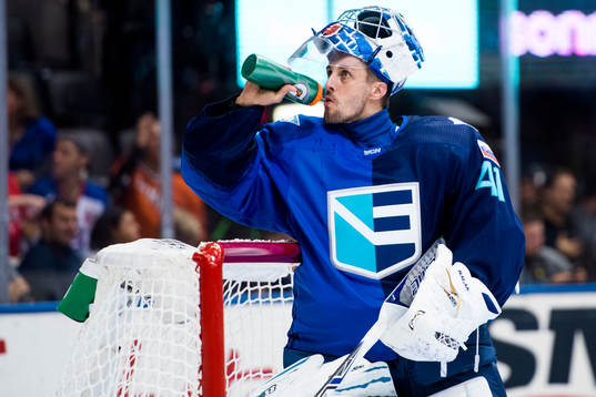 Europas målvakt Jaroslav Halak