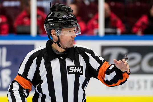 Domare Wolmer Edqvist