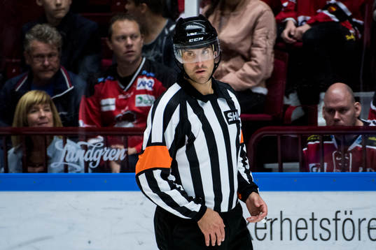 Domare Mikael Sjöqvist