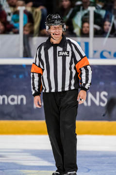 Domare Morgan Johansson