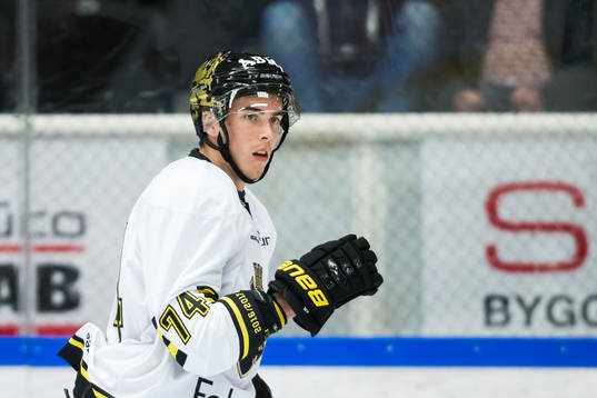 s Joakim Thelin innan ishockeymatchen i Hockeyallsvenskan