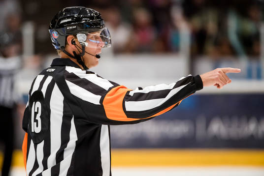 Domare Morgan Johansson