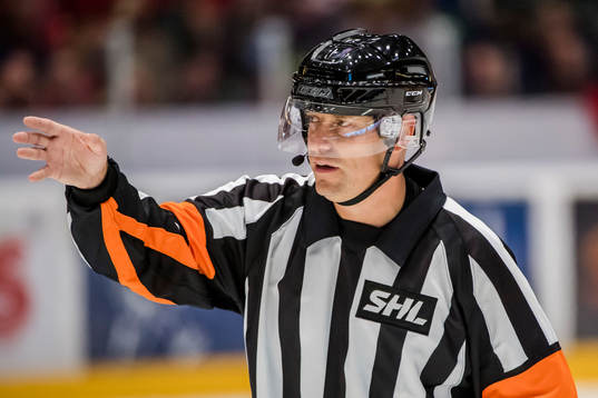 Domaren Morgan Johansson
