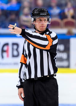 Domare Mikael Holm